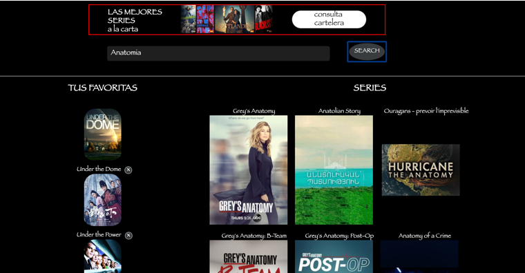 Proyecto buscador de series